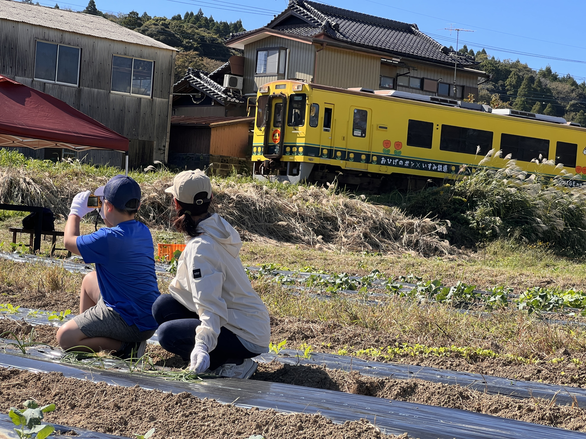 大多喜町で農業・収穫・里山体験!~スコップファームの魅力を徹底解説!~