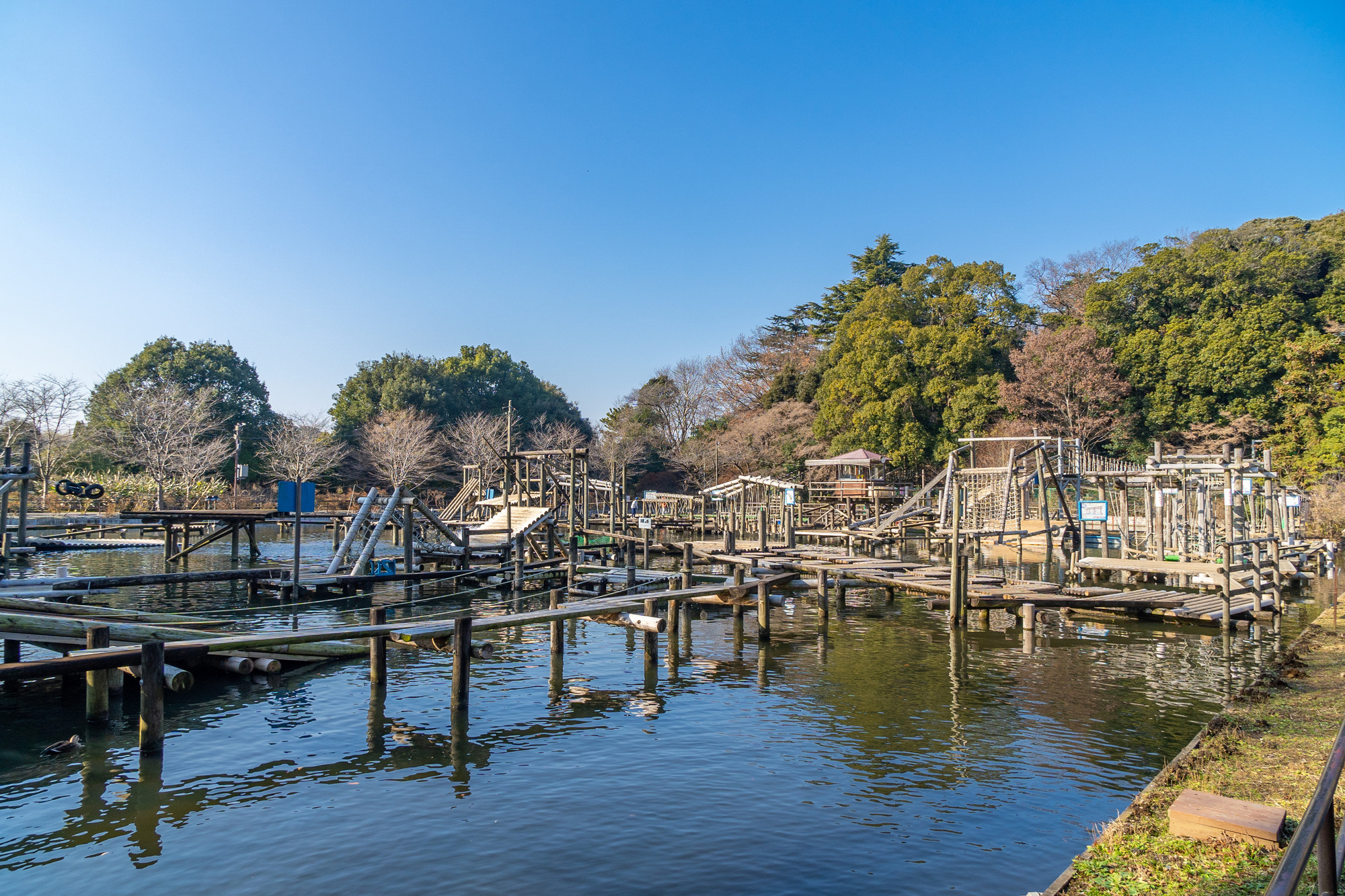 子どもが喜ぶ千葉の公園!アスレチックなどが充実したスポットを紹介!
