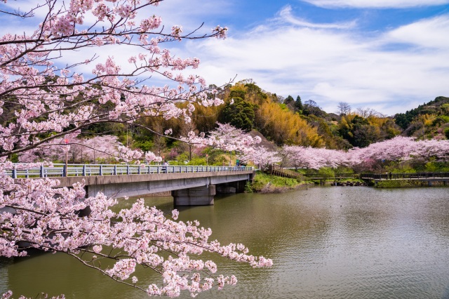 佐久間ダム公園