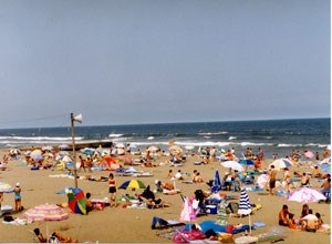 古所海水浴場