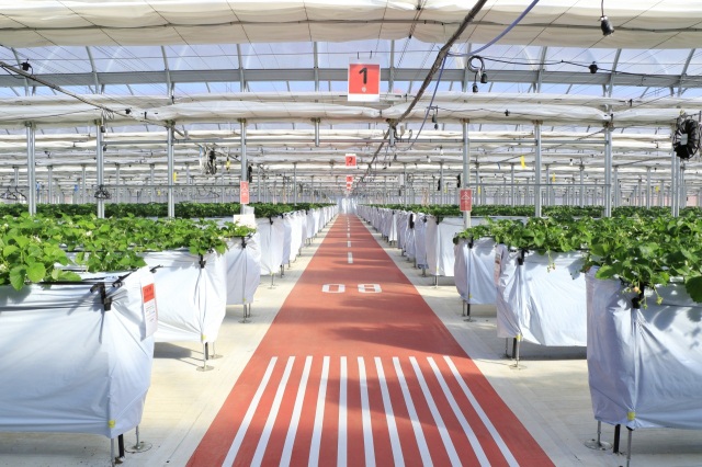 JAL Agriport株式会社